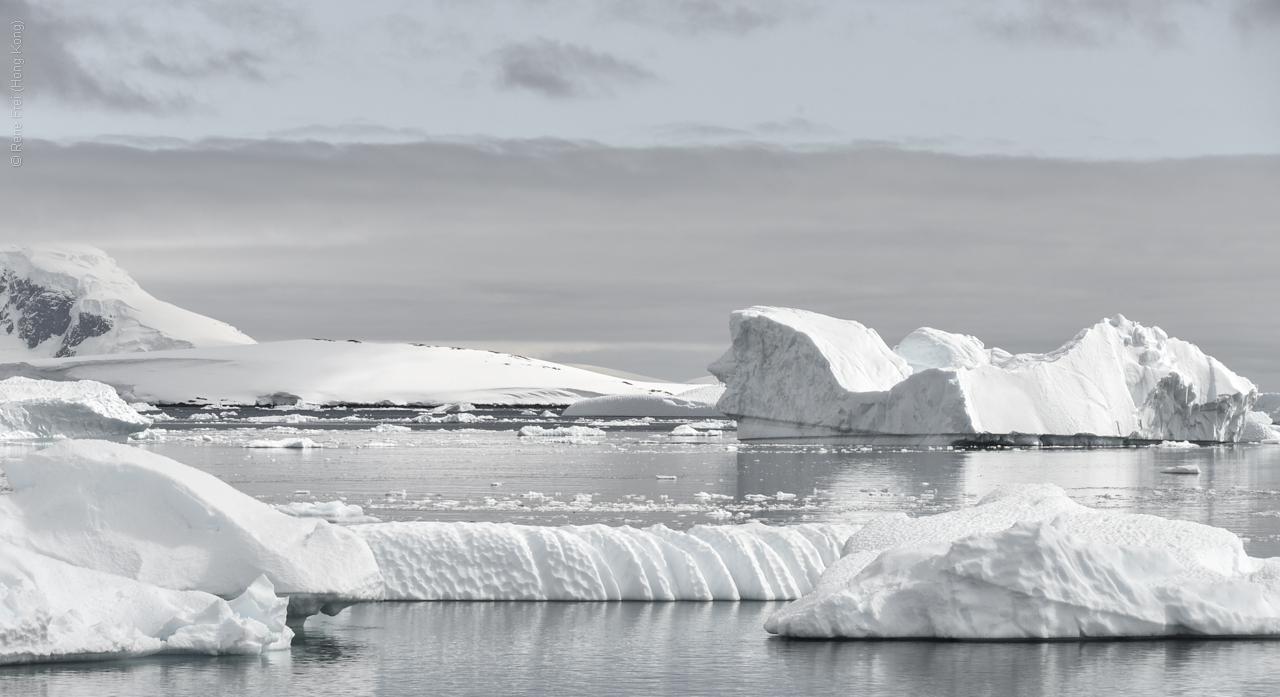 Antarctic Peninsula - 2013