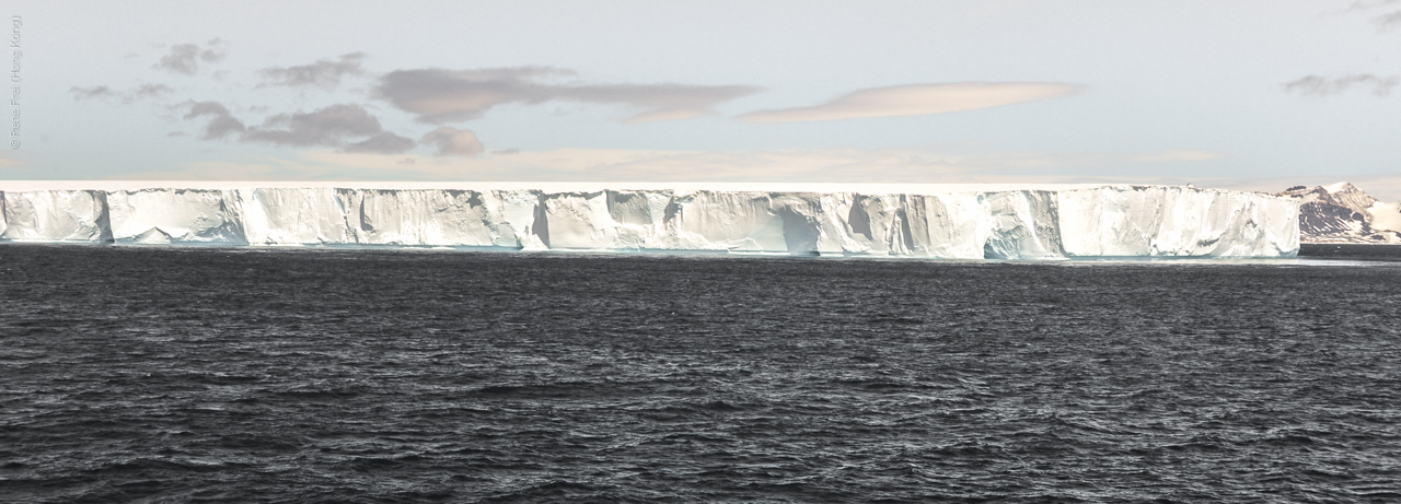 Antarctic Peninsula - 2013