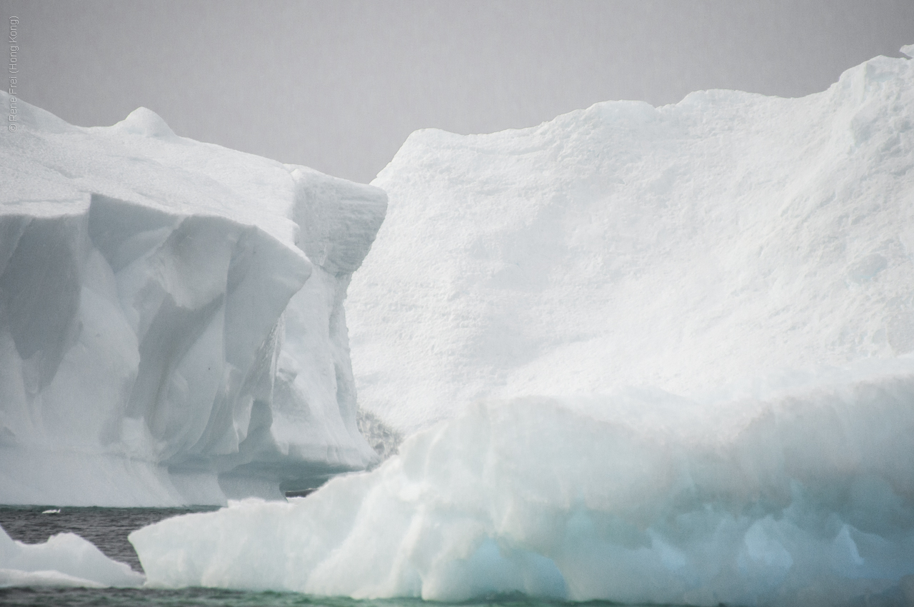 Antarctic Peninsula - 2017