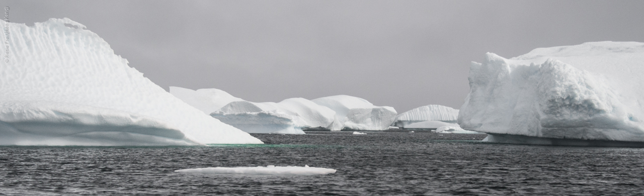 Antarctic Peninsula - 2017