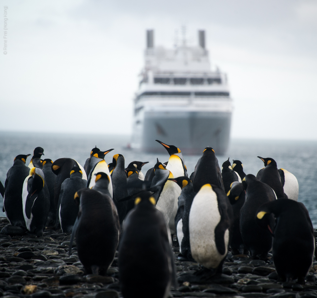 Antarctic Peninsula - 2017