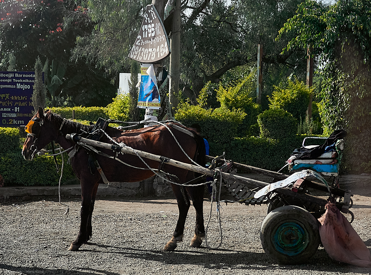 Addis Ababa - Ethiopia - 2018