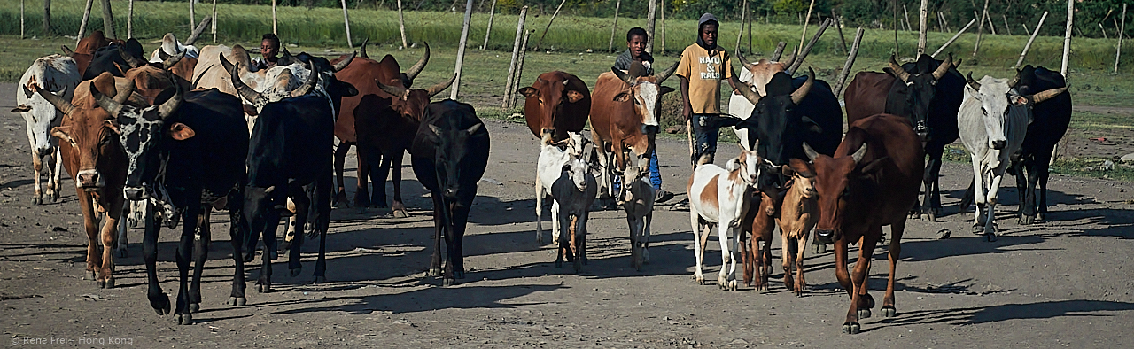 Addis Ababa - Ethiopia - 2018