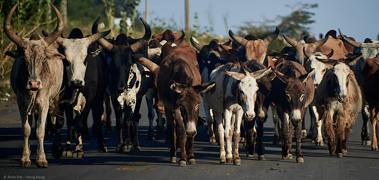 Addis Ababa - Ethiopia - 2018