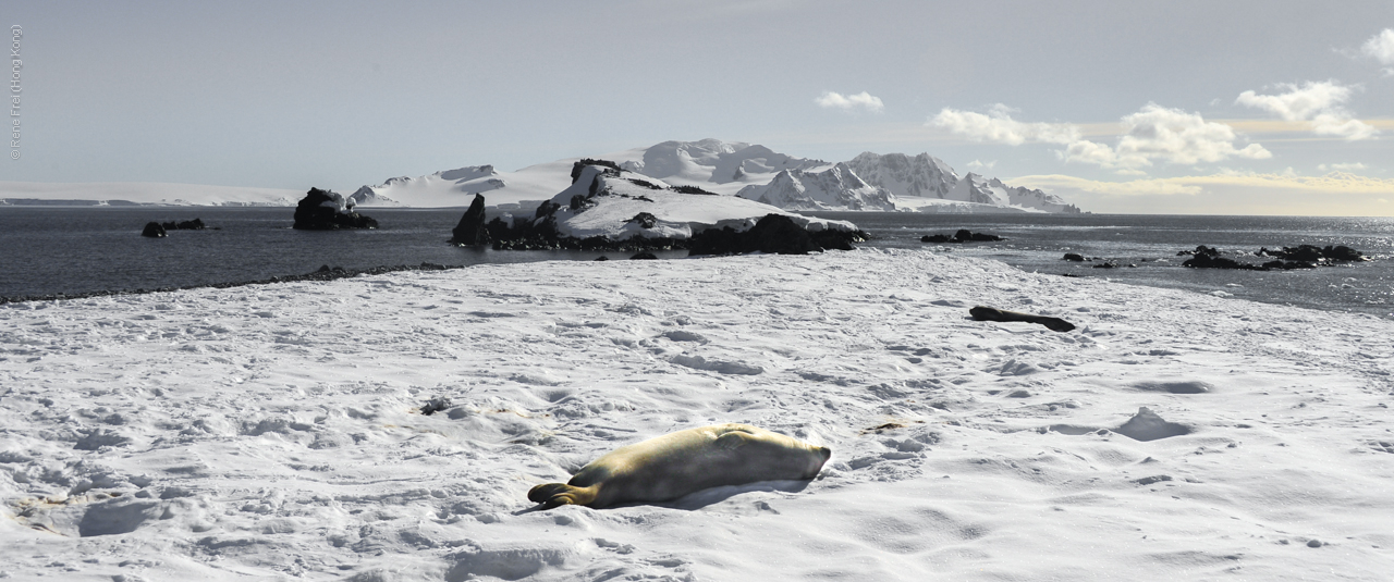 Antarctica - December 2013