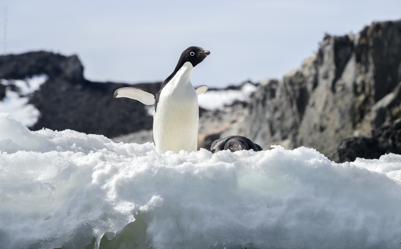 Antarctica - December 2013