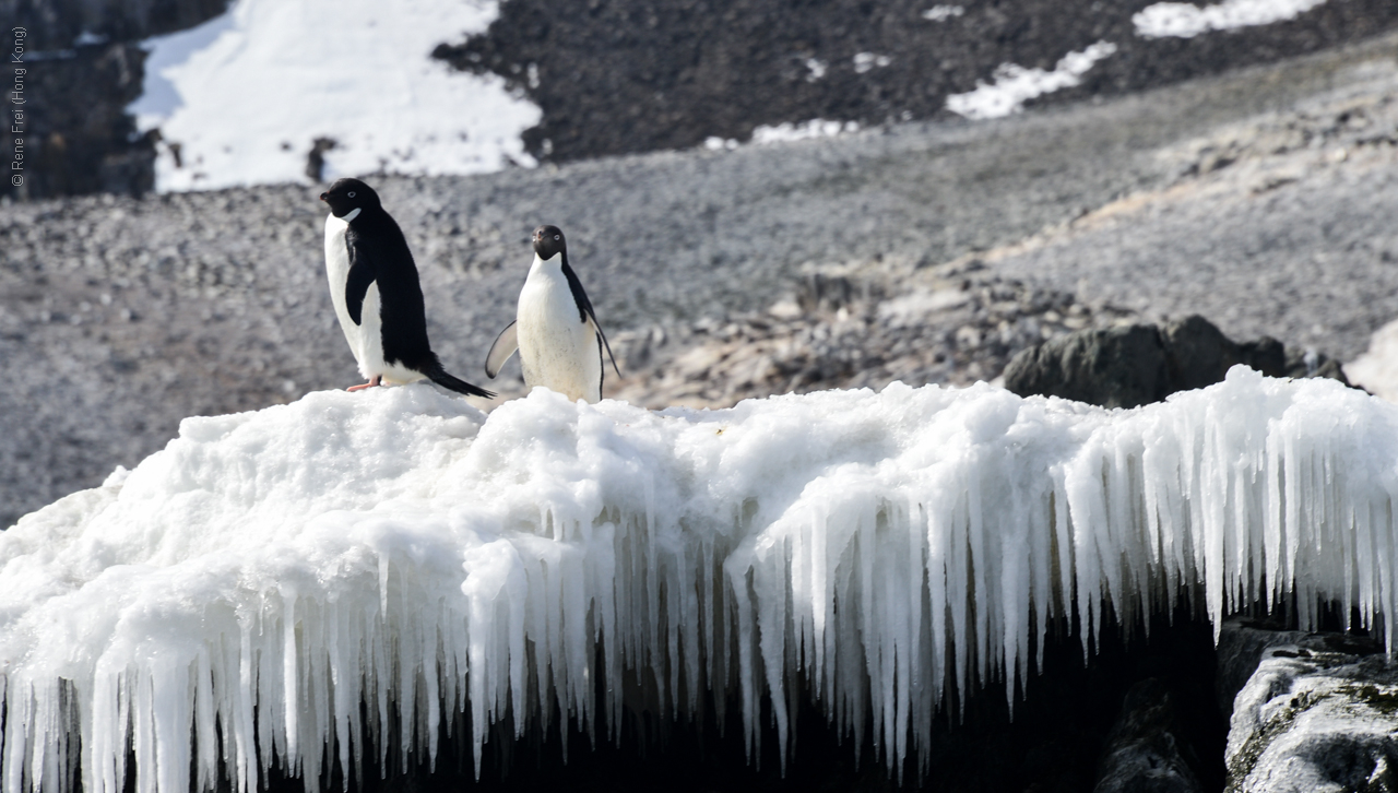 Antarctica - December 2013