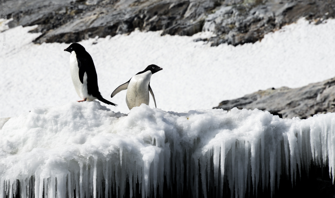 Antarctica - December 2013