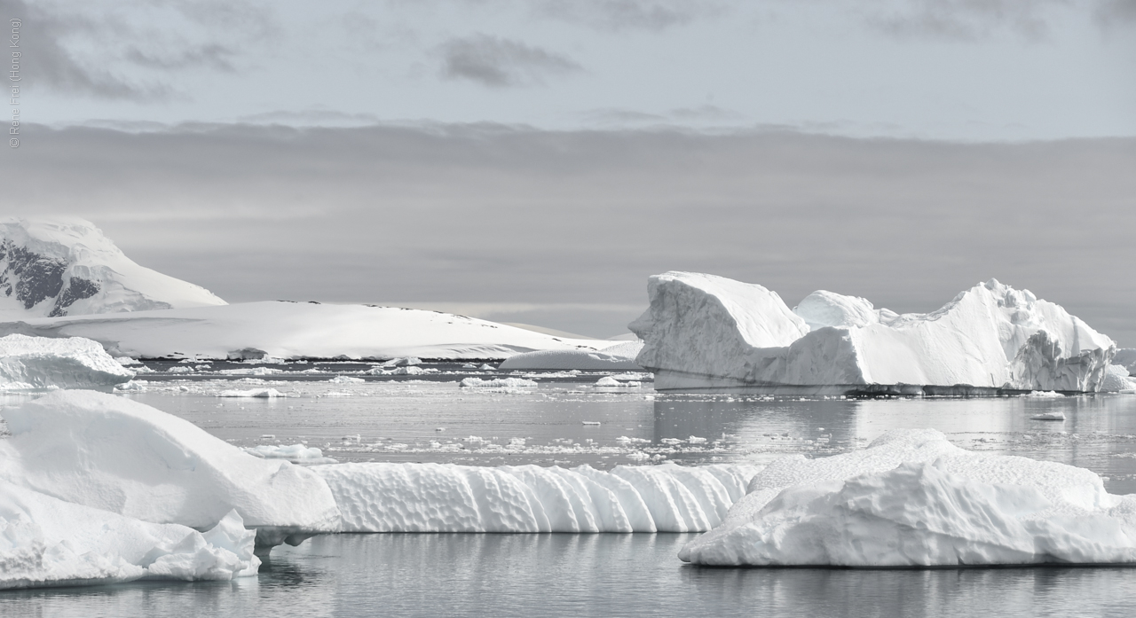 Antarctica - December 2013