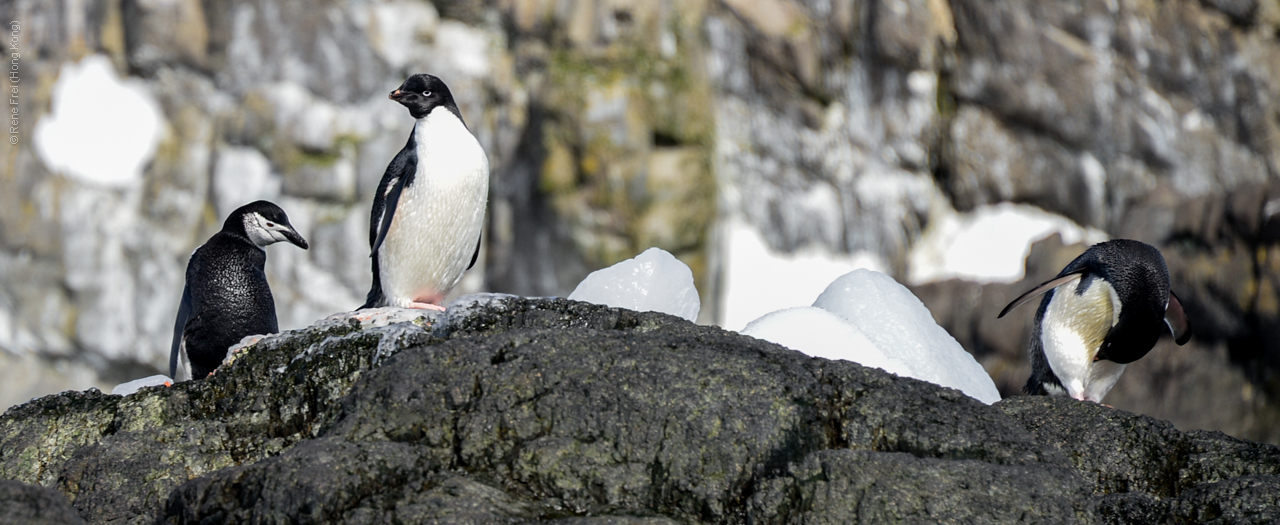 Antarctica - December 2013