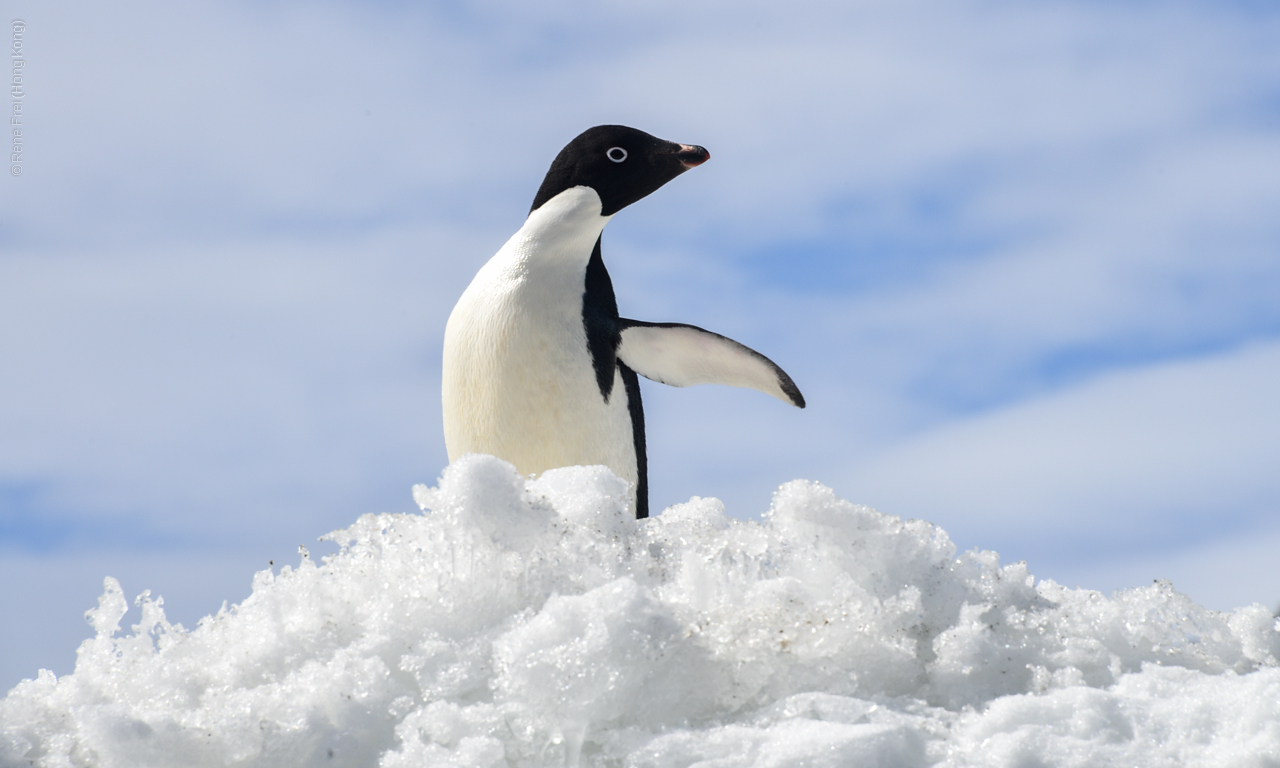 Antarctica - December 2013