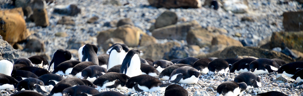 Antarctica - December 2013