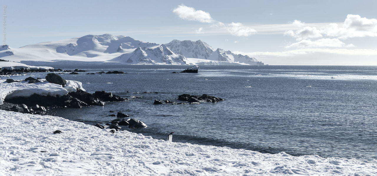 Antarctica - December 2013