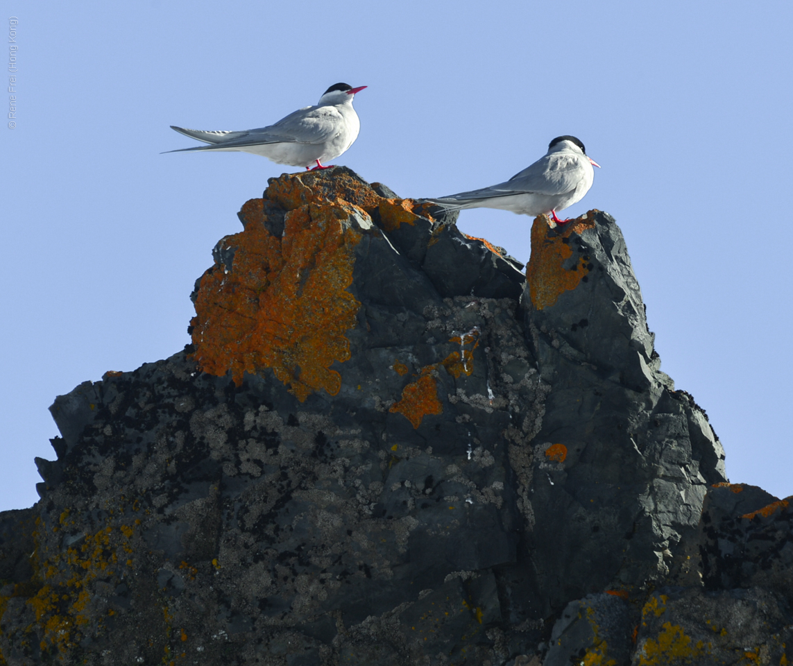 Antarctica - December 2013