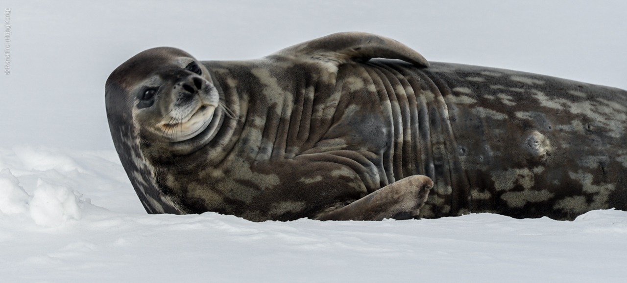 Antarctica - December 2013