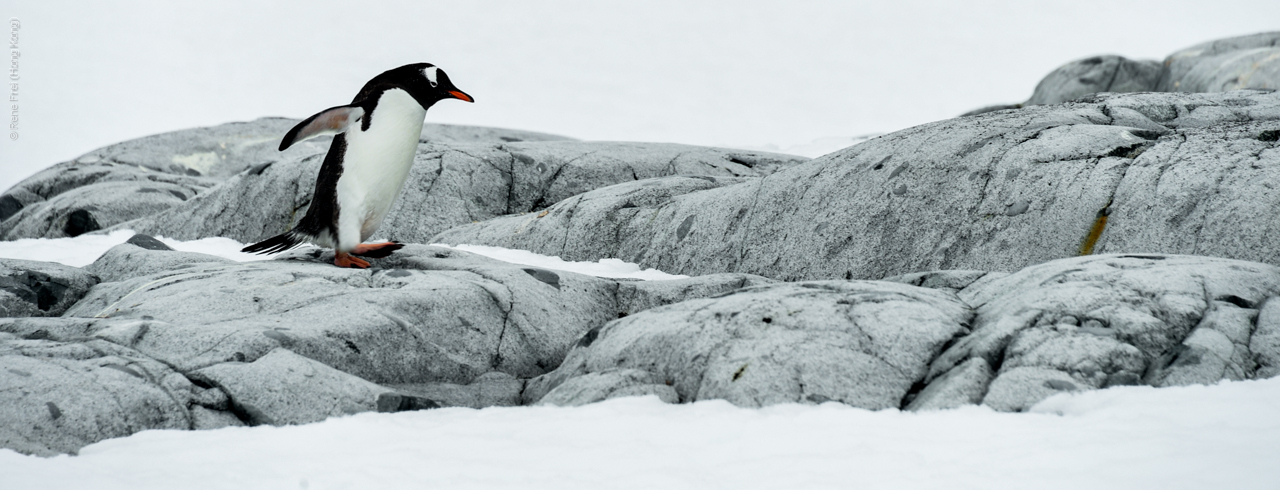 Antarctica - December 2013