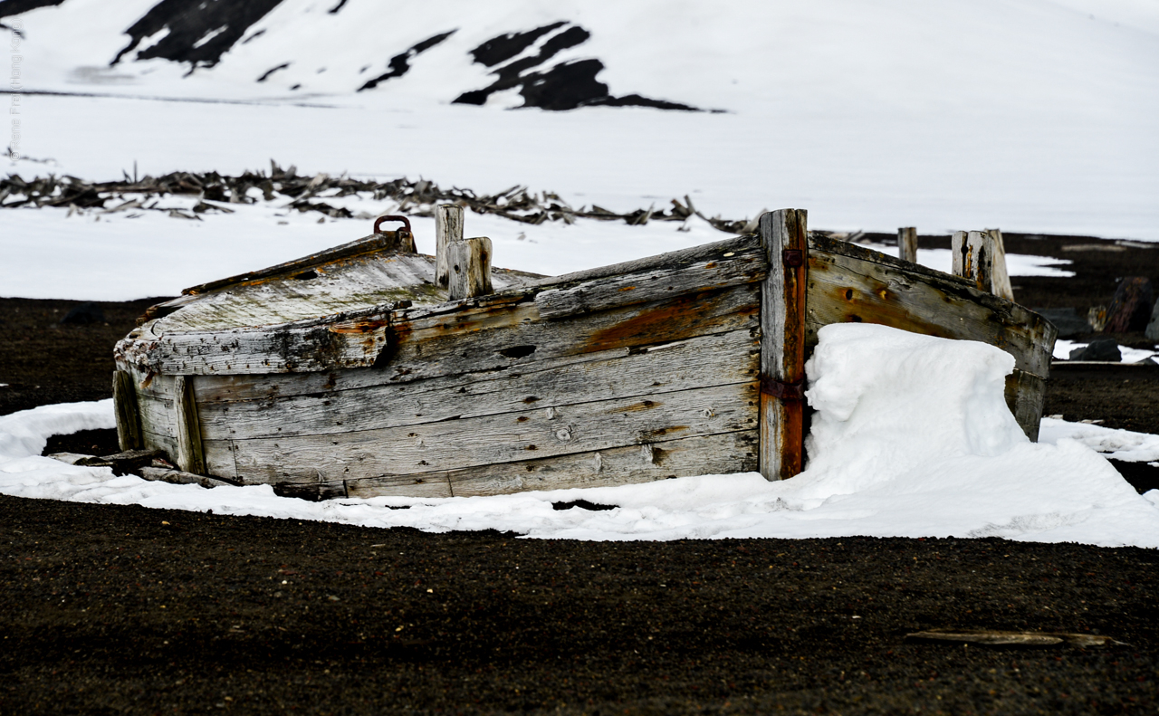 Antarctica - December 2013