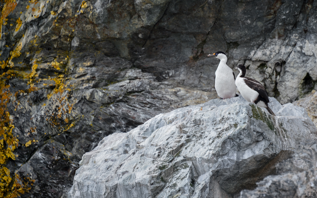 Antarctica - December 2013