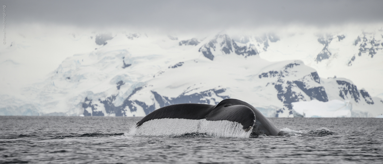 Antarctica - December 2013