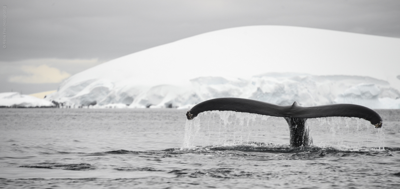 Antarctica - December 2013