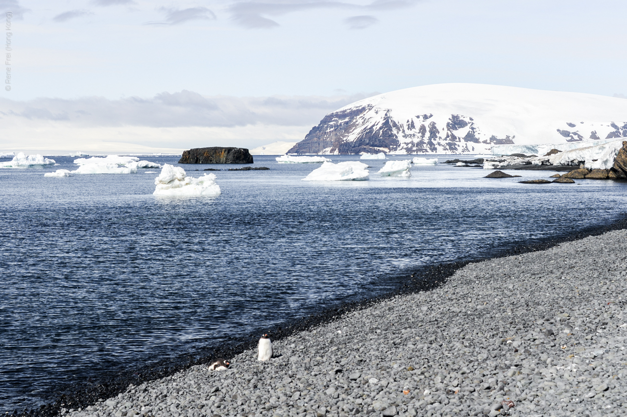 Antarctica - December 2013