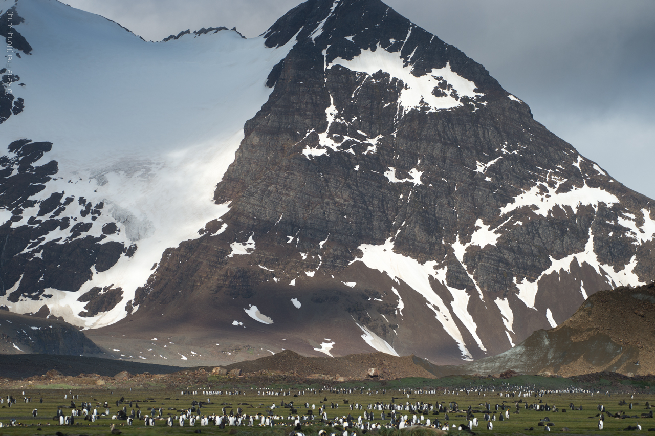 Antarctica - January 2017