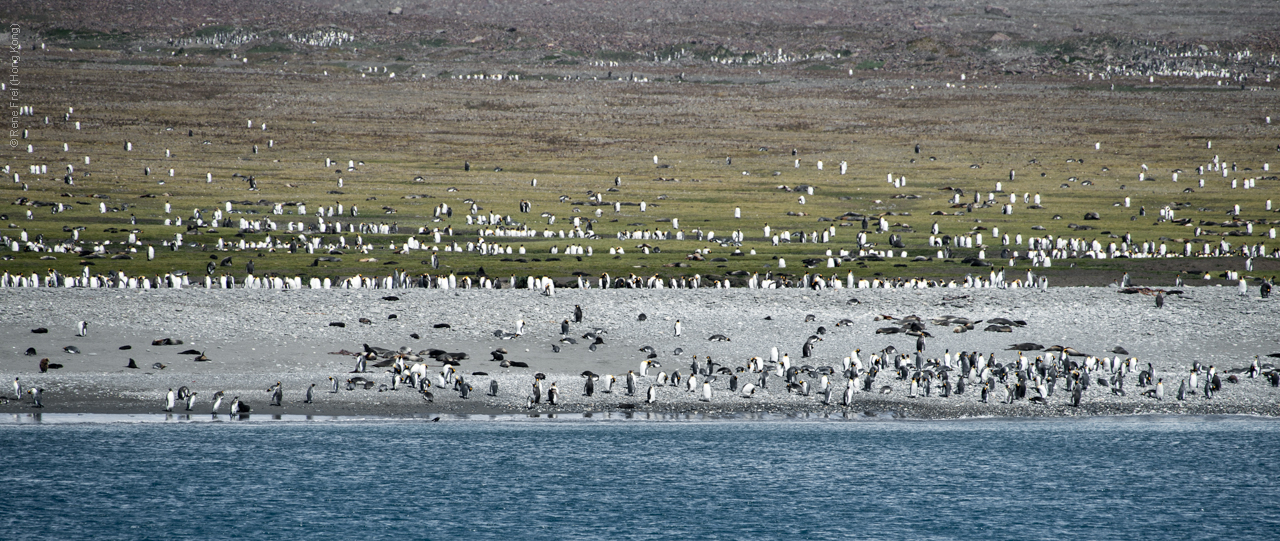 Antarctica - January 2017