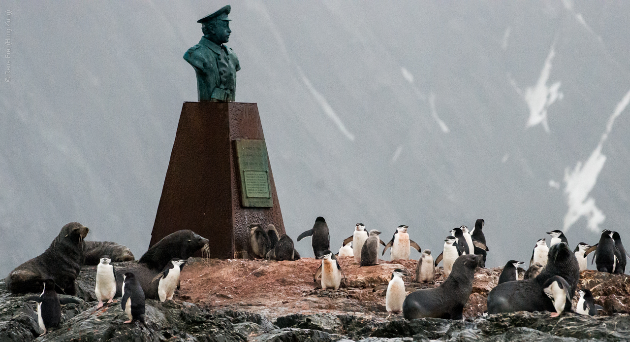 Antarctica - January 2017