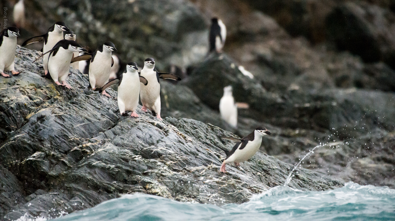 Antarctica - January 2017