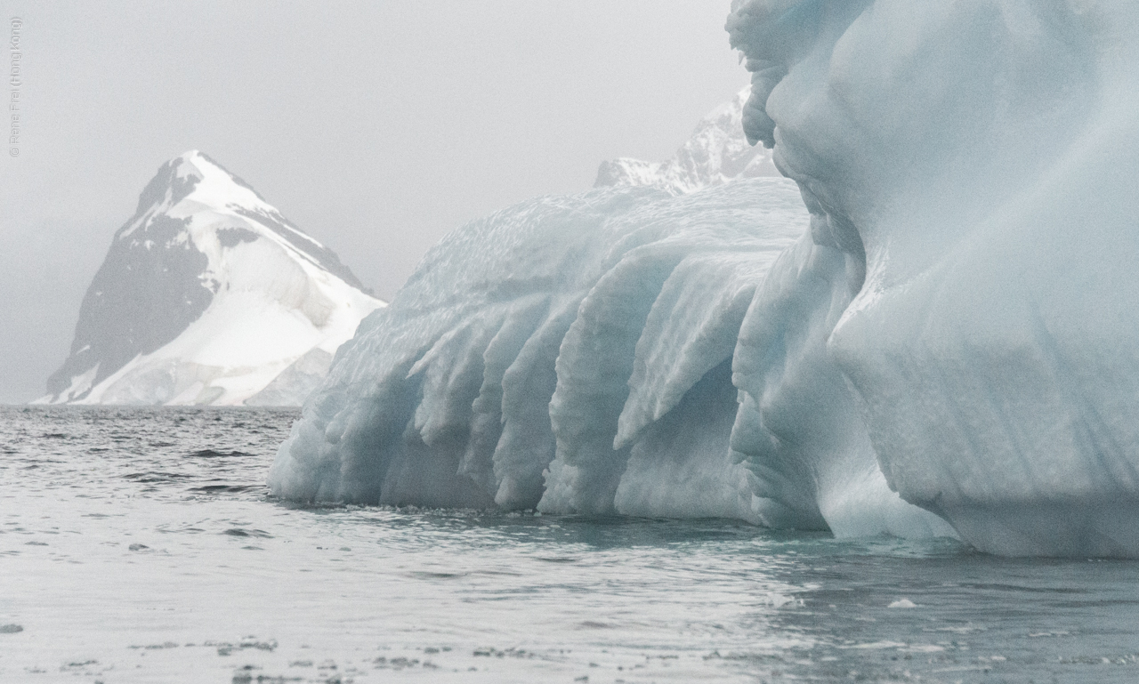 Antarctica - January 2017