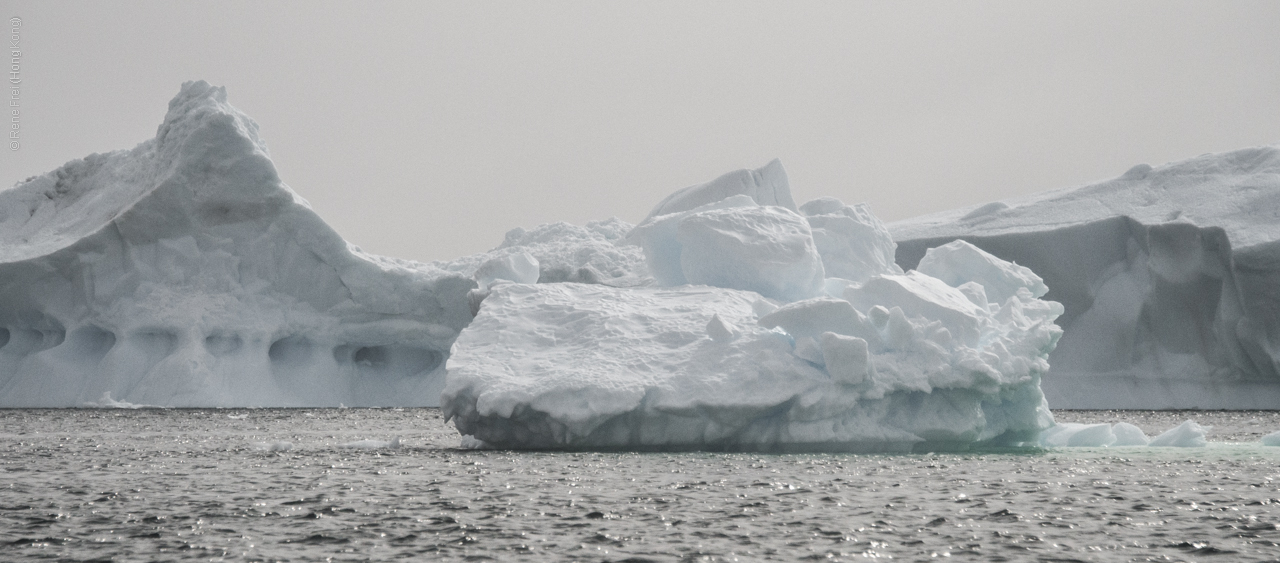 Antarctica - January 2017