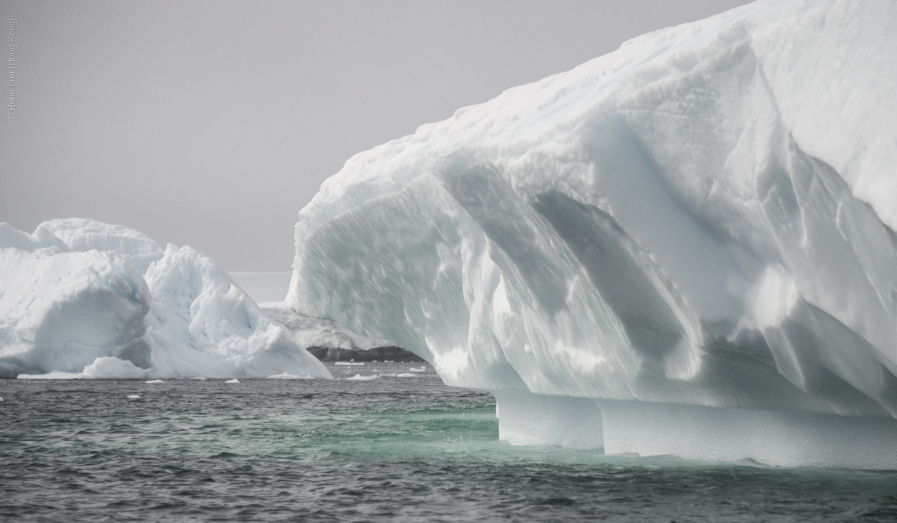 Antarctica - January 2017