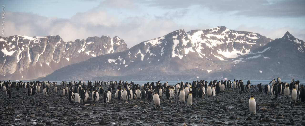 Antarctica - January 2017