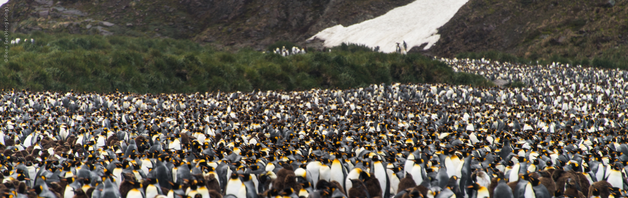 Antarctica - January 2017