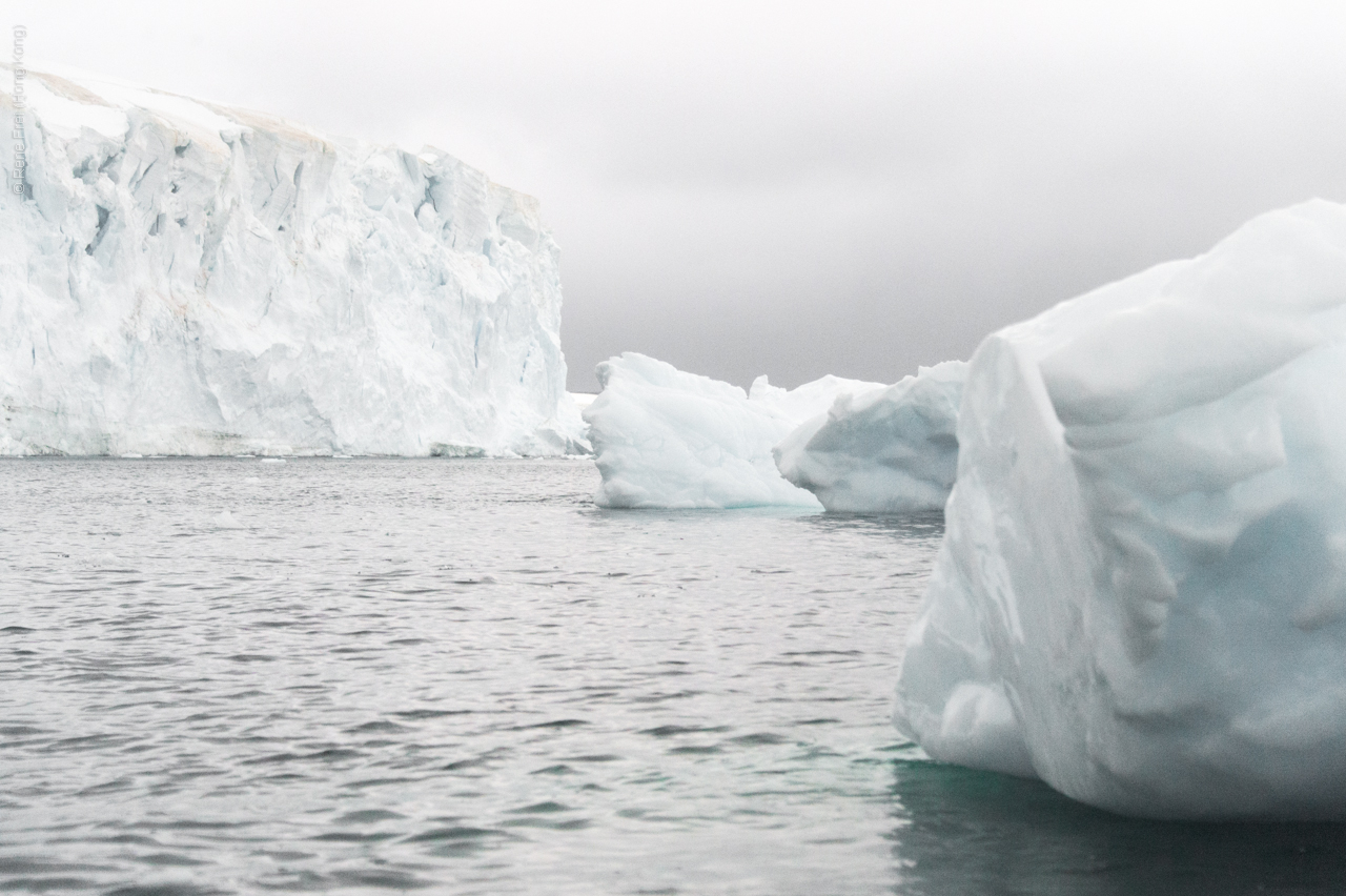 Antarctica - January 2017