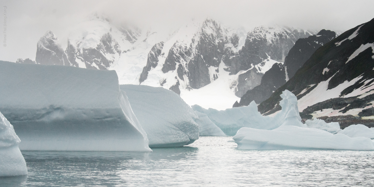 Antarctica - January 2017