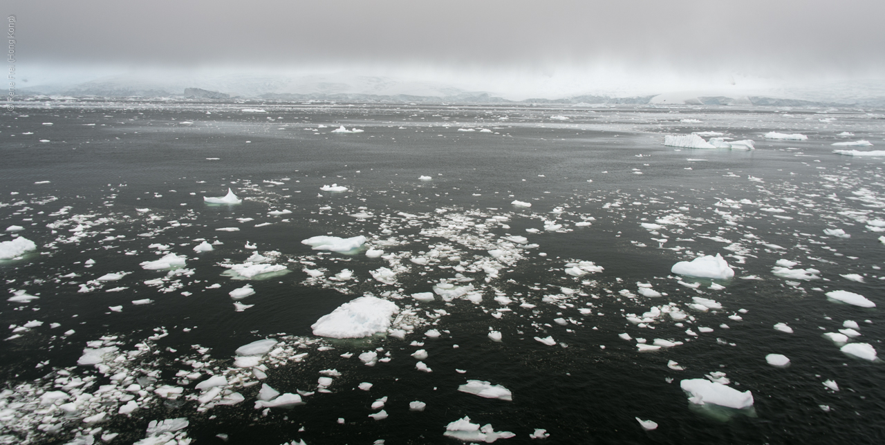 Antarctica - January 2017