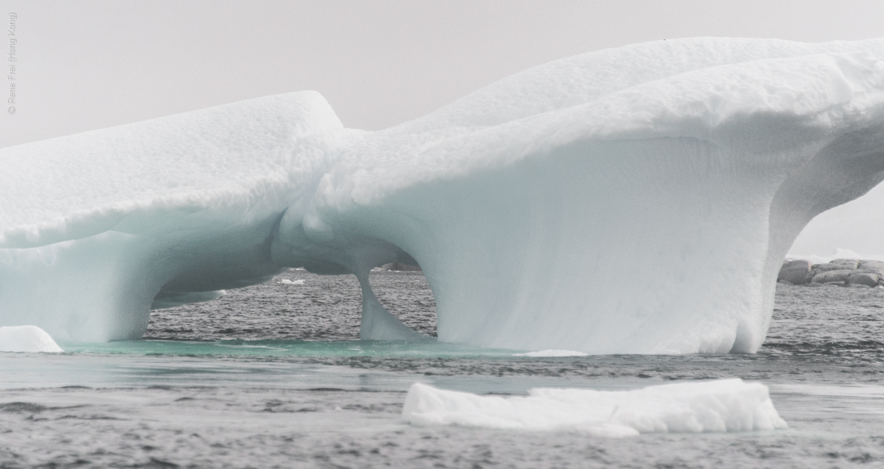 Antarctica - January 2017