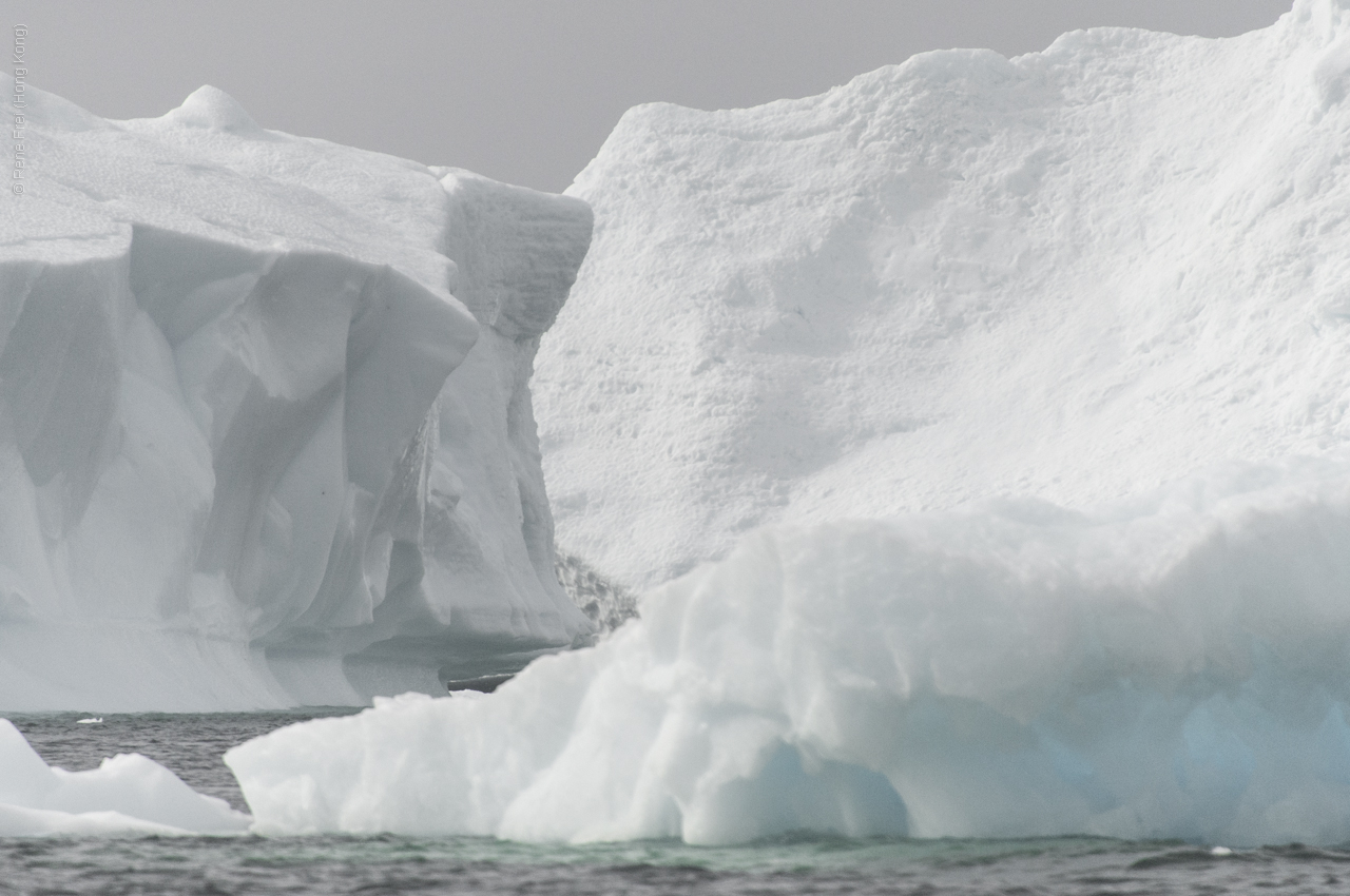 Antarctica - January 2017