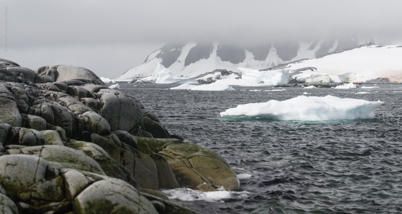 Antarctica - January 2017