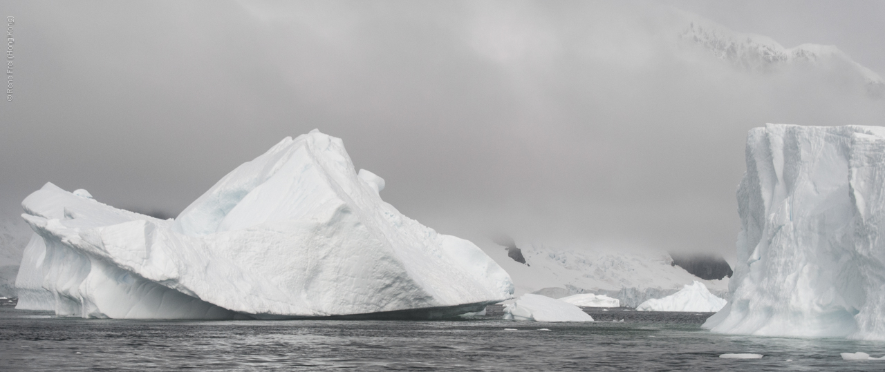 Antarctica - January 2017