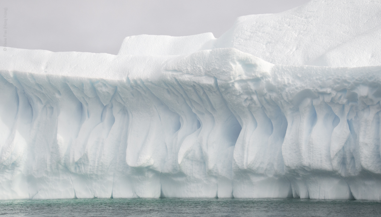 Antarctica - January 2017