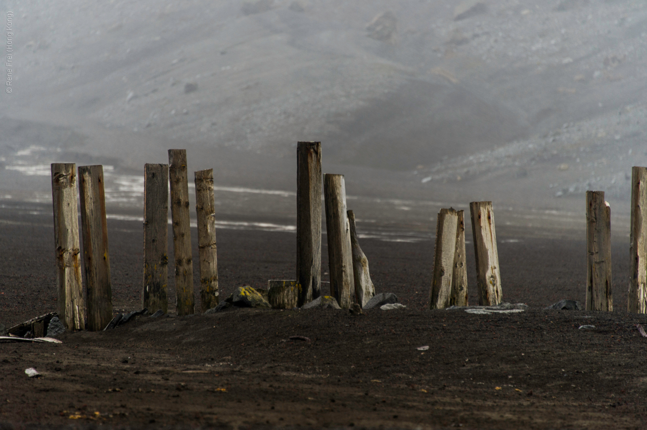 Antarctica - January 2017