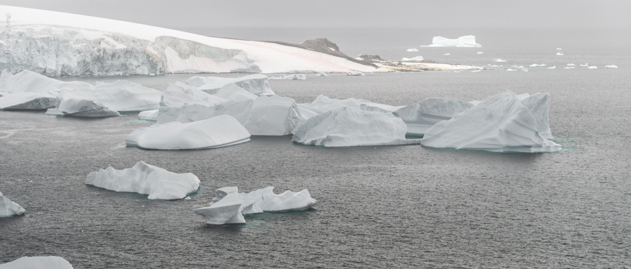 Antarctica - January 2017