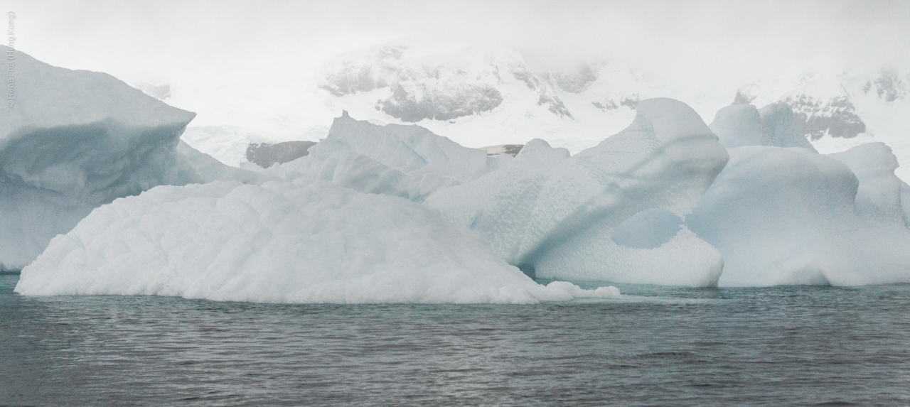 Antarctica - January 2017