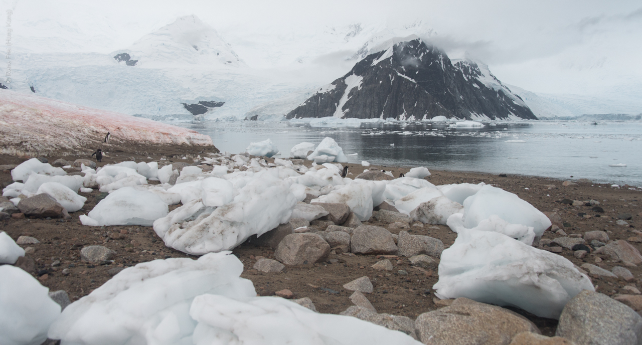 Antarctica - January 2017