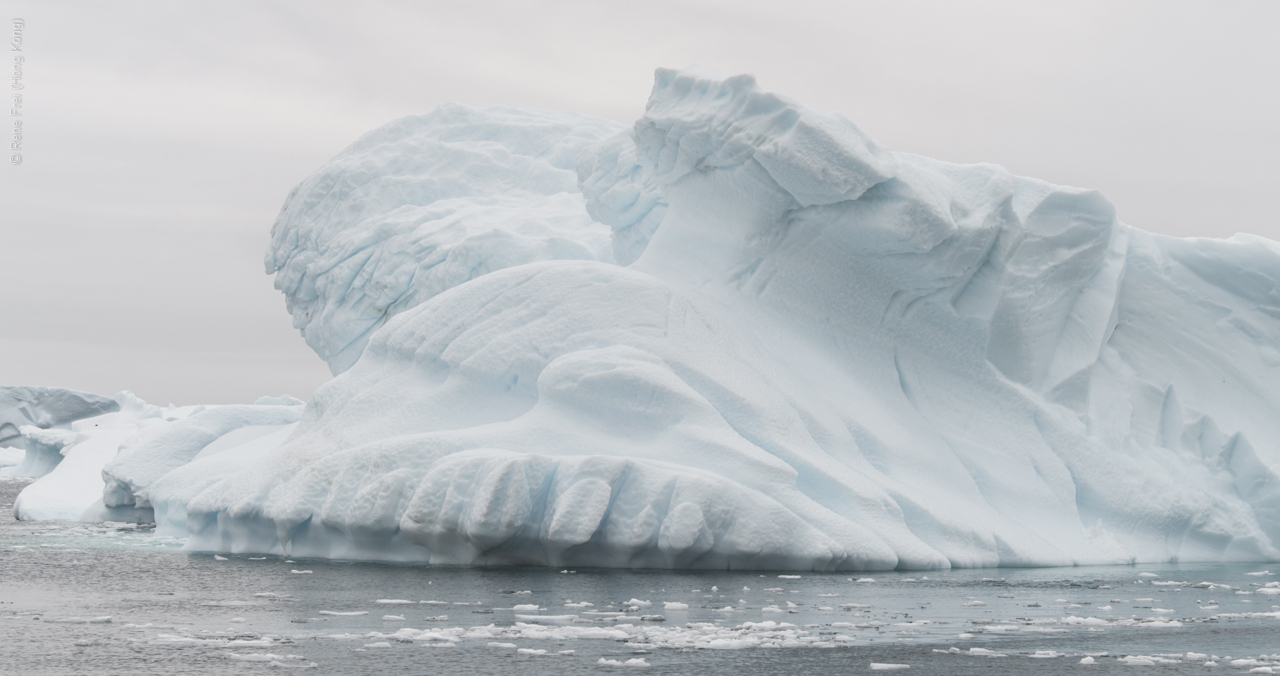 Antarctica - January 2017