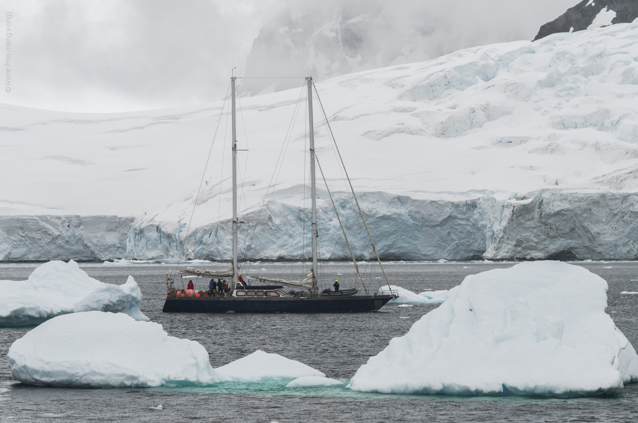 Antarctica - January 2017