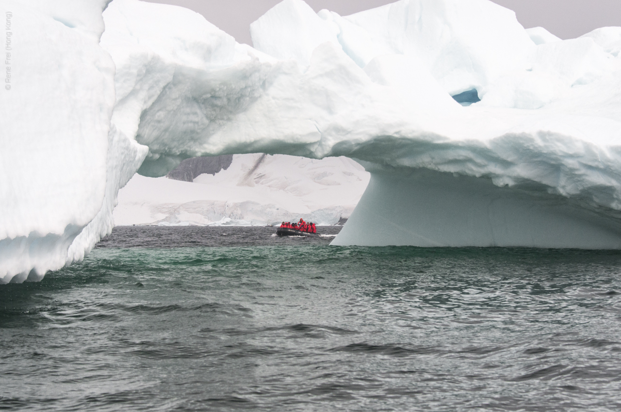 Antarctica - January 2017