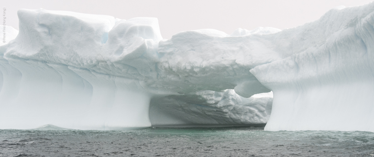 Antarctica - January 2017